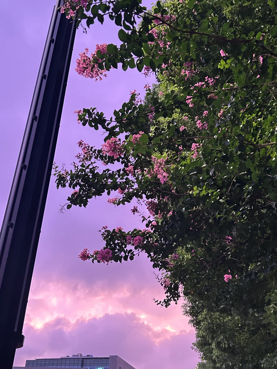 暂时停收~