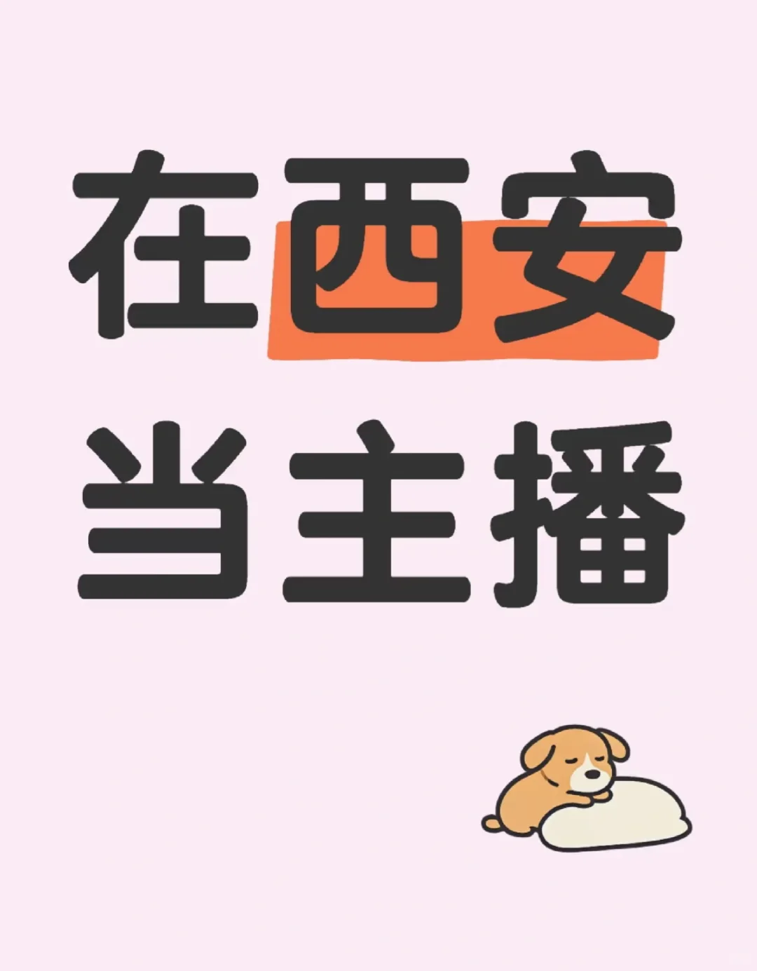 团播主播~