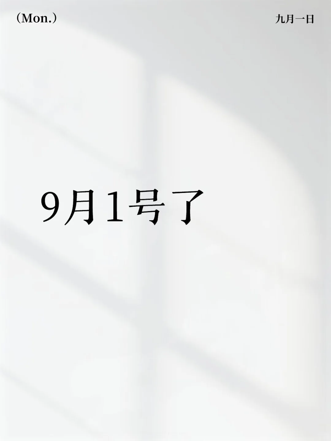 25届毕业生找工作 day38