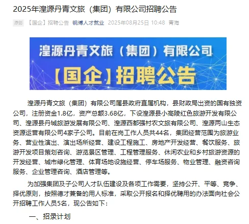 2025年湟源丹青文旅（集团）有限公司招聘公