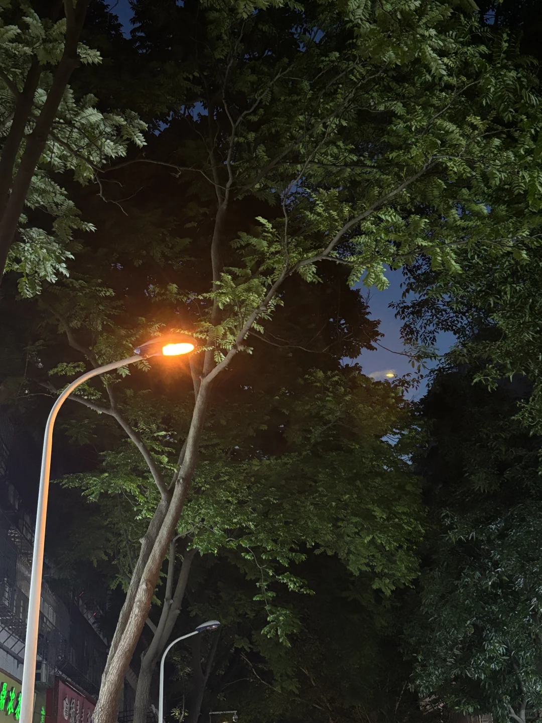 25届临期应届生在家躺了一个暑假