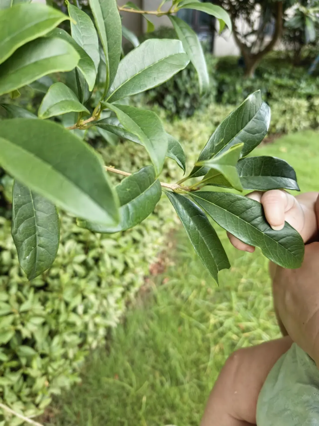 上海农场管理员招聘