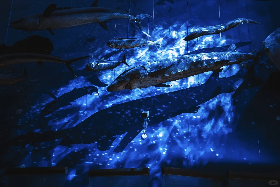 重庆好工作（保底5000，不电销）