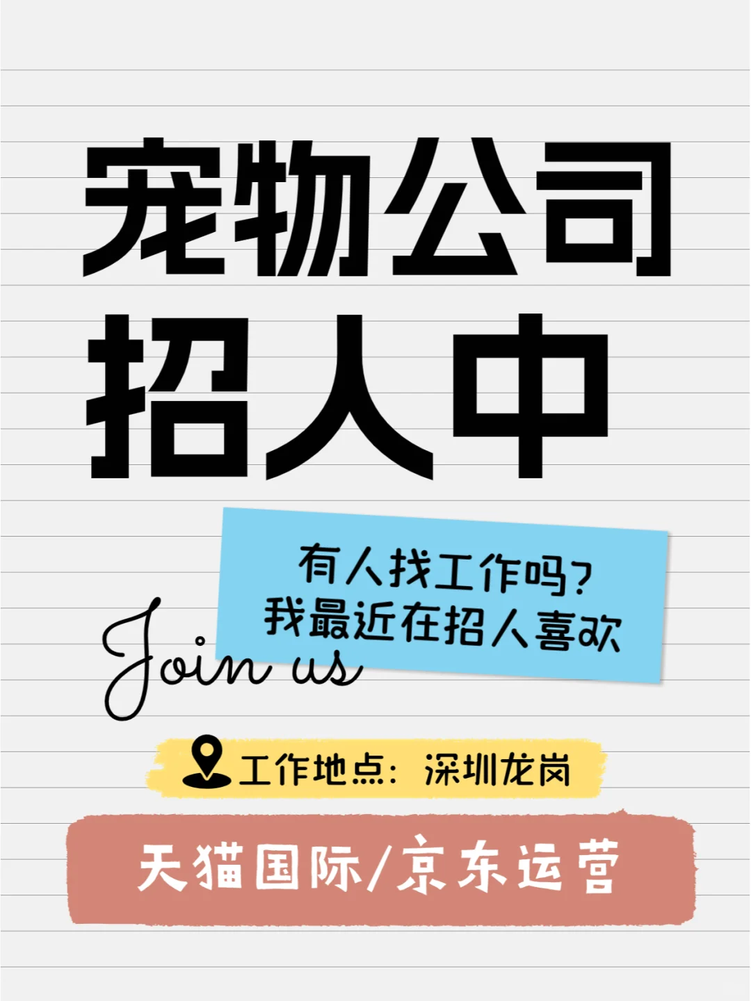 宠物用品公司开放运营管培生岗位啦