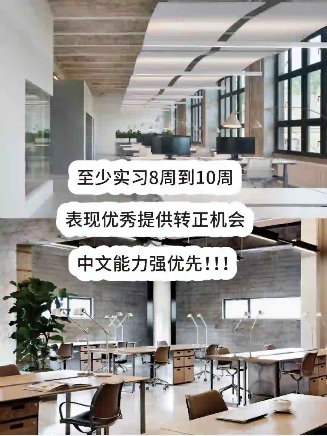 🇺🇸捞人新机会🎯小白也能进