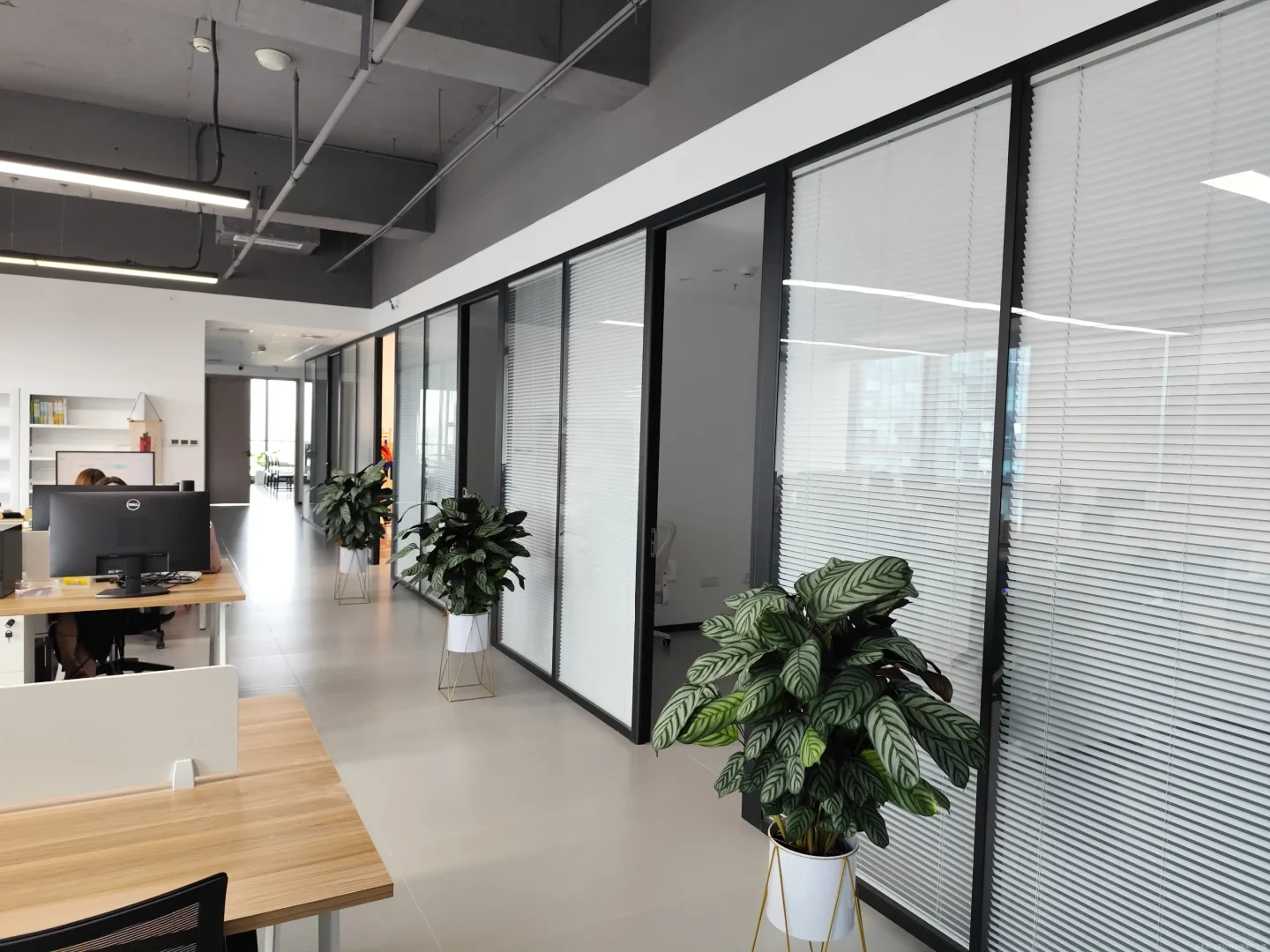 这是什么神仙工作啊