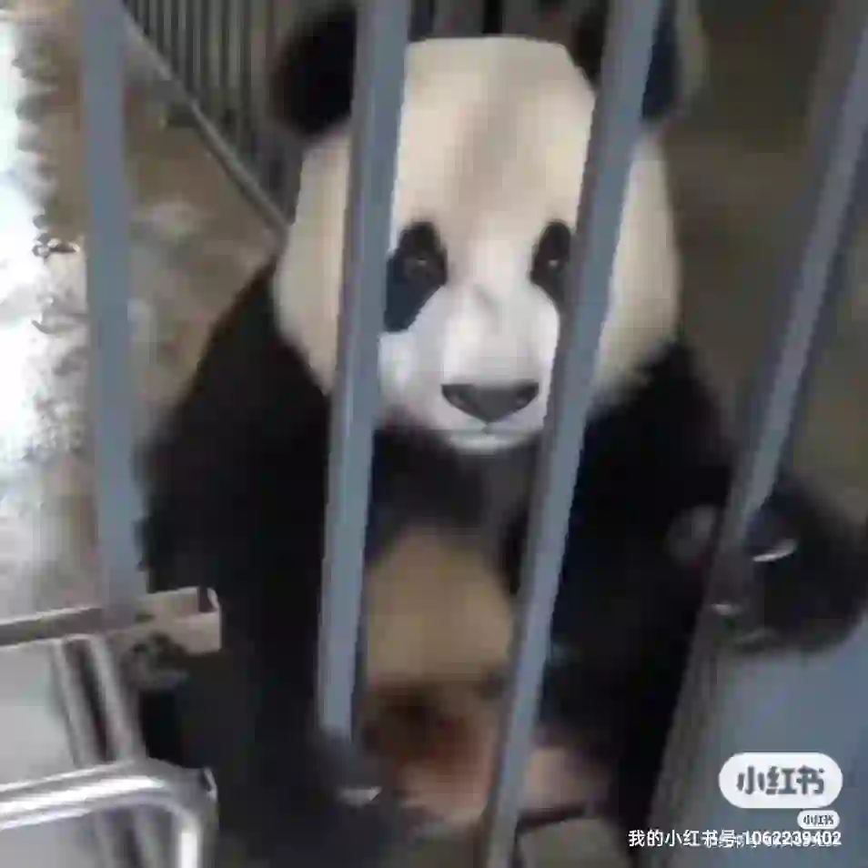 四川绵阳某大型天然气公司