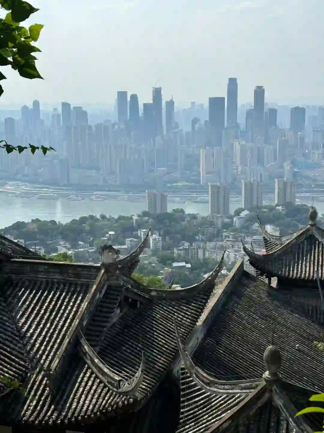 重庆大专招聘面试班有推荐的嘛？