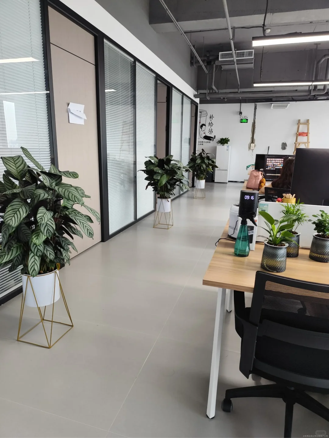 这是什么神仙工作啊