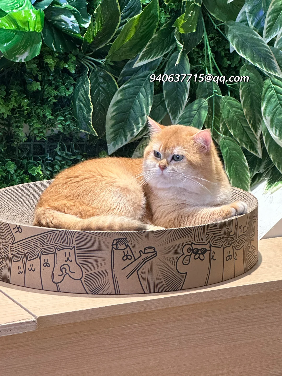 南宁需要找工作的看这里！广告公司！！