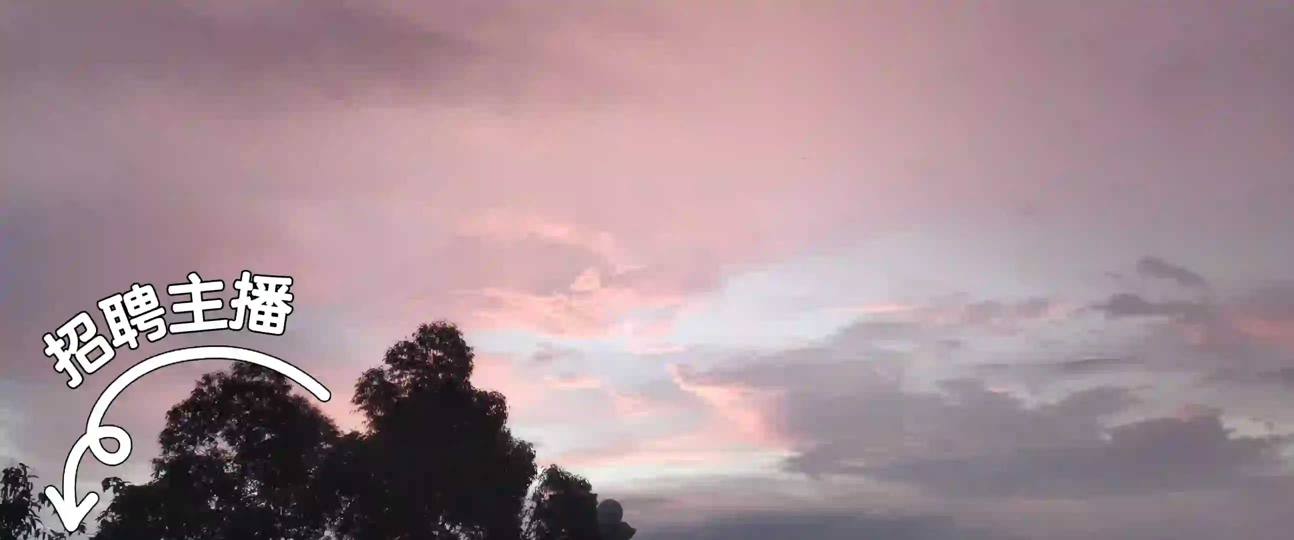 广西桂林市叠彩万达地区招聘主播