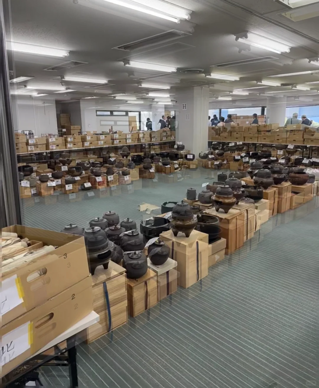 北京日瓷主播招聘，寻找志同道合的你