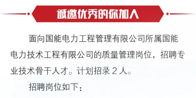 国能电力工程管理有限公司招聘【2人】