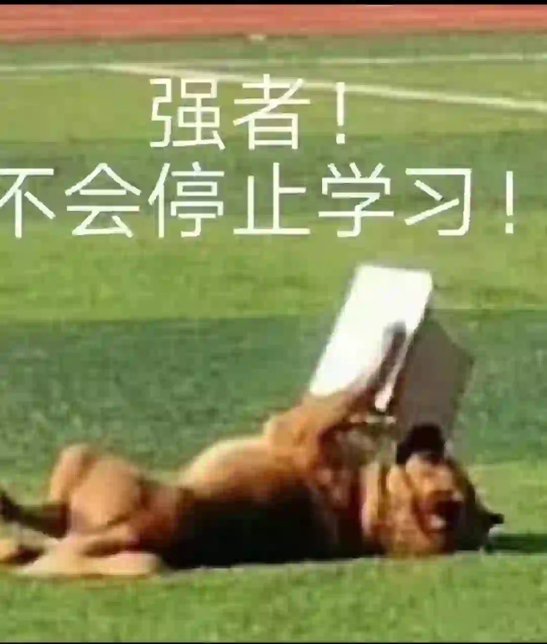 大一实习找什么岗位好