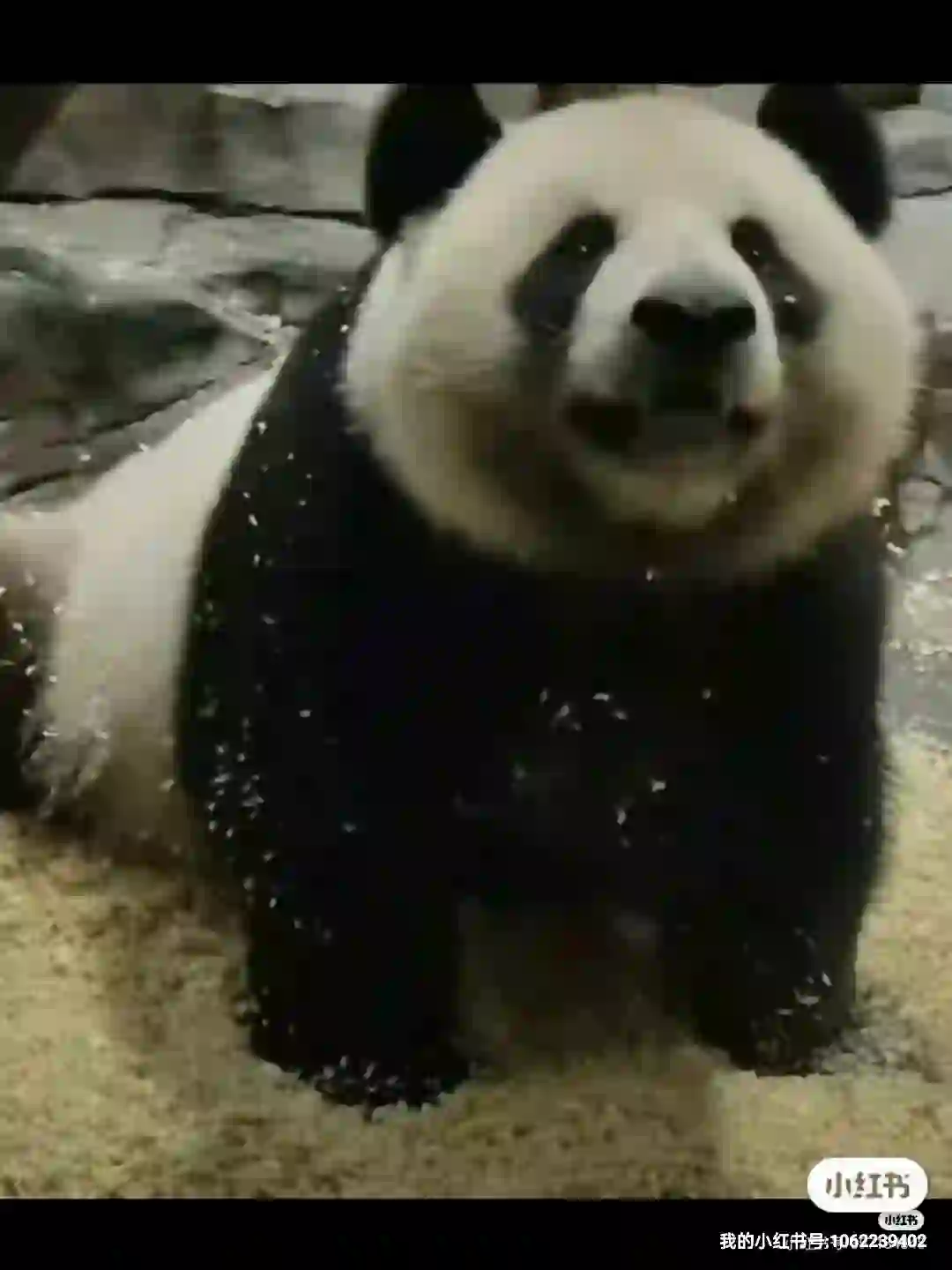 重庆巴南某高校招聘行政岗