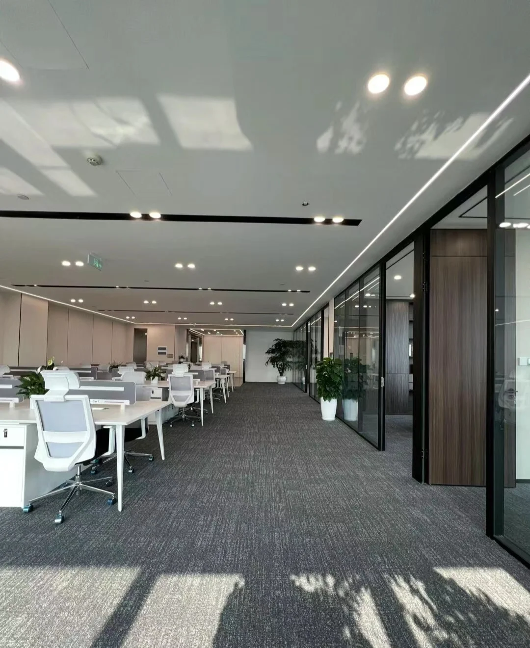 新公司大量高薪招聘！