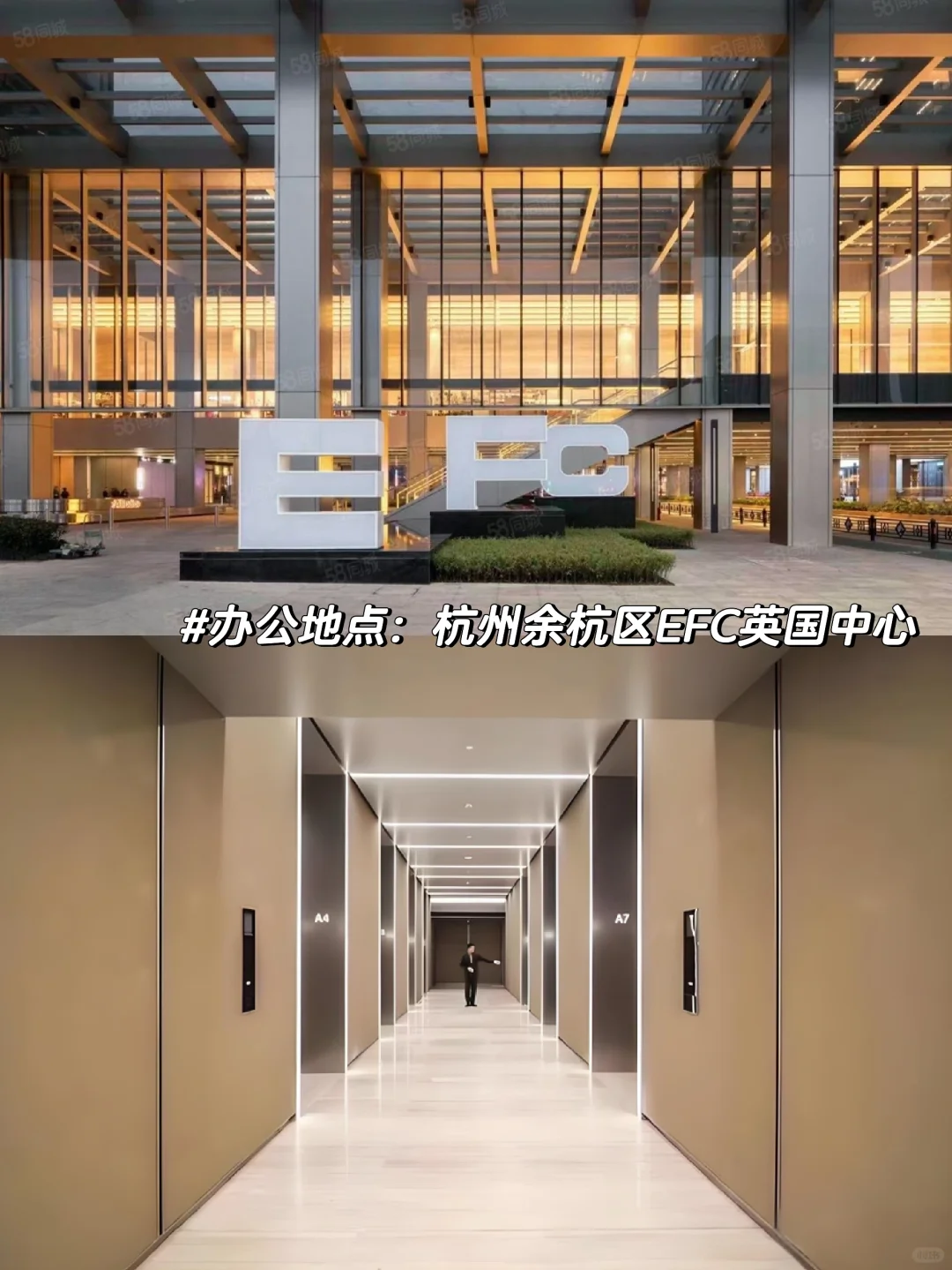 【招聘中】杭州双休！家居品牌！新媒体运营