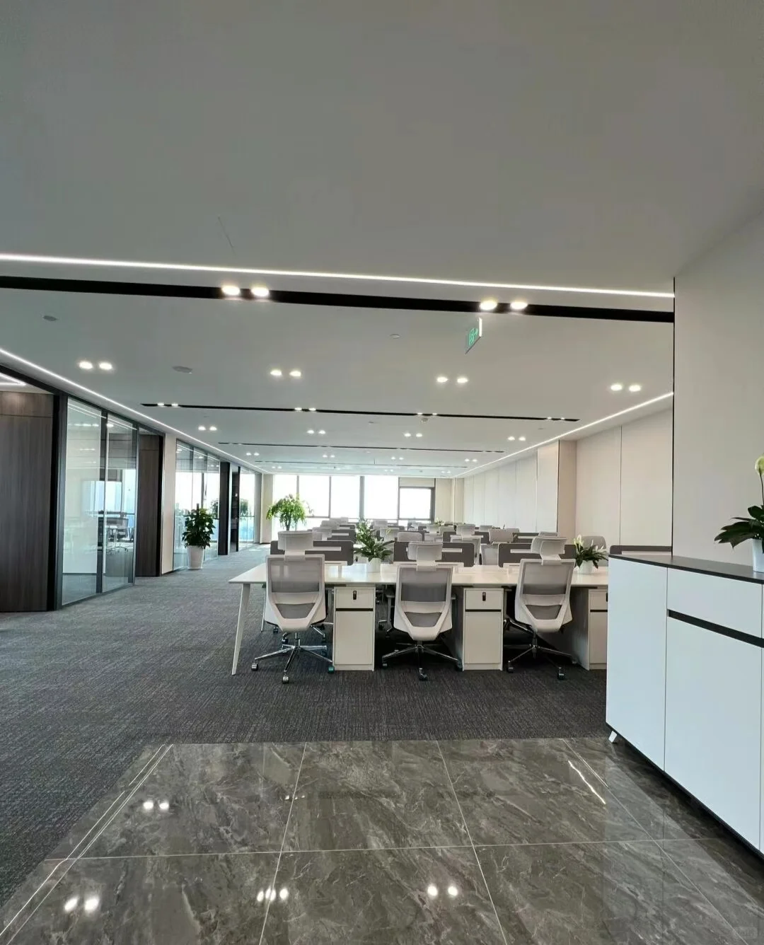 新公司大量高薪招聘！