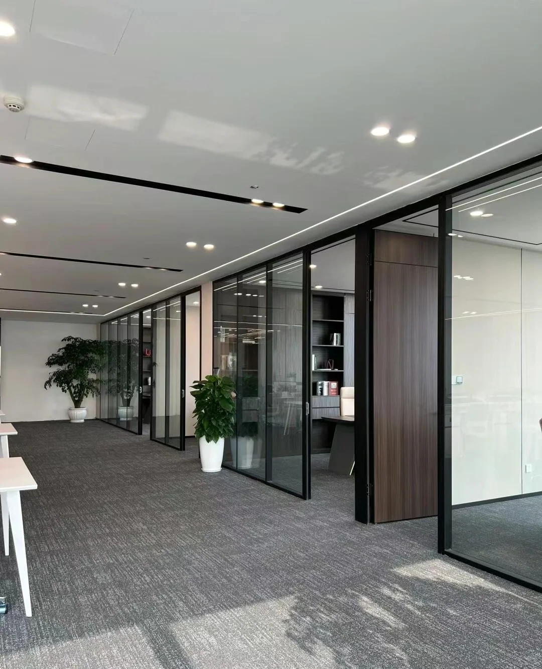 新公司大量高薪招聘！