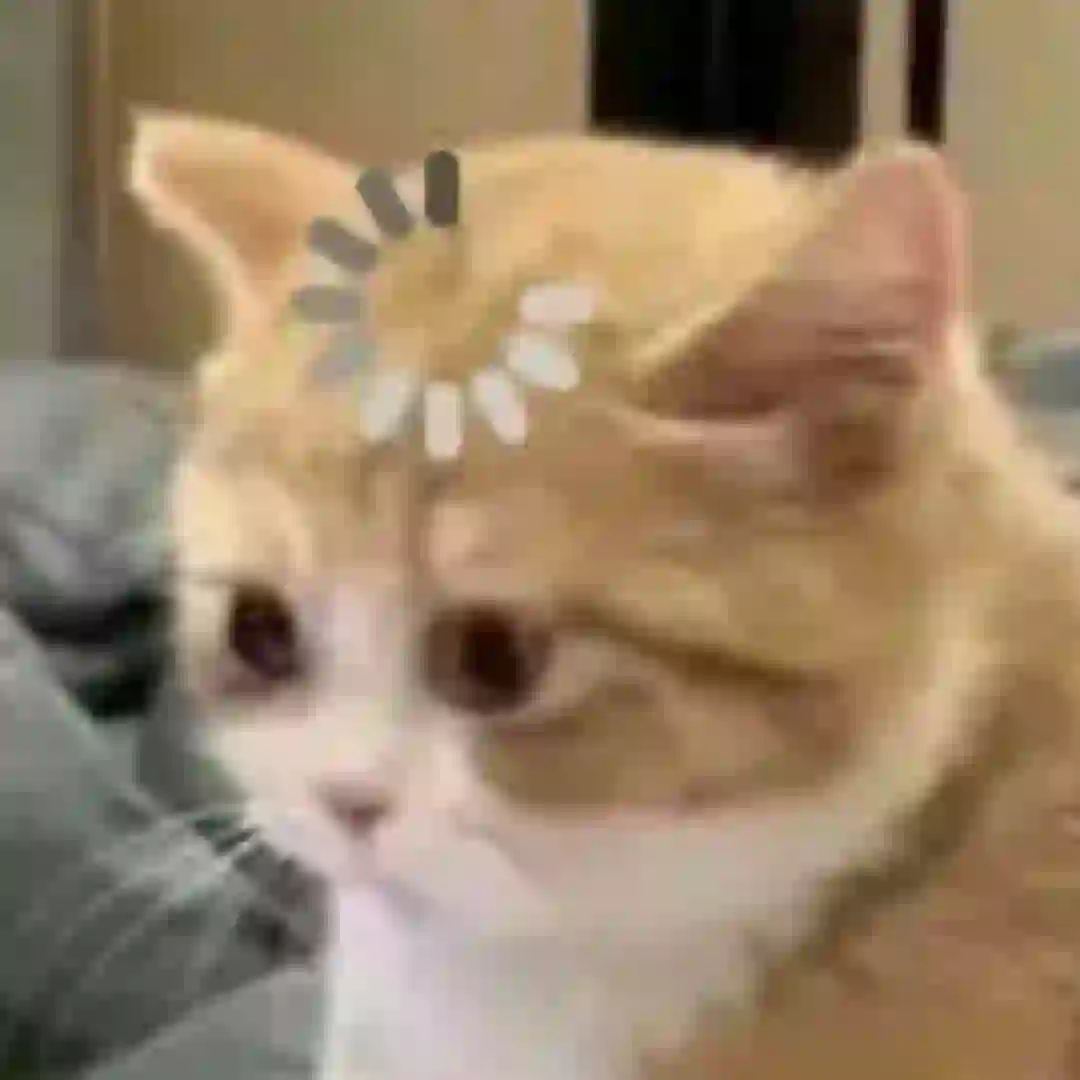 出纳，会计，财务有什么区别?