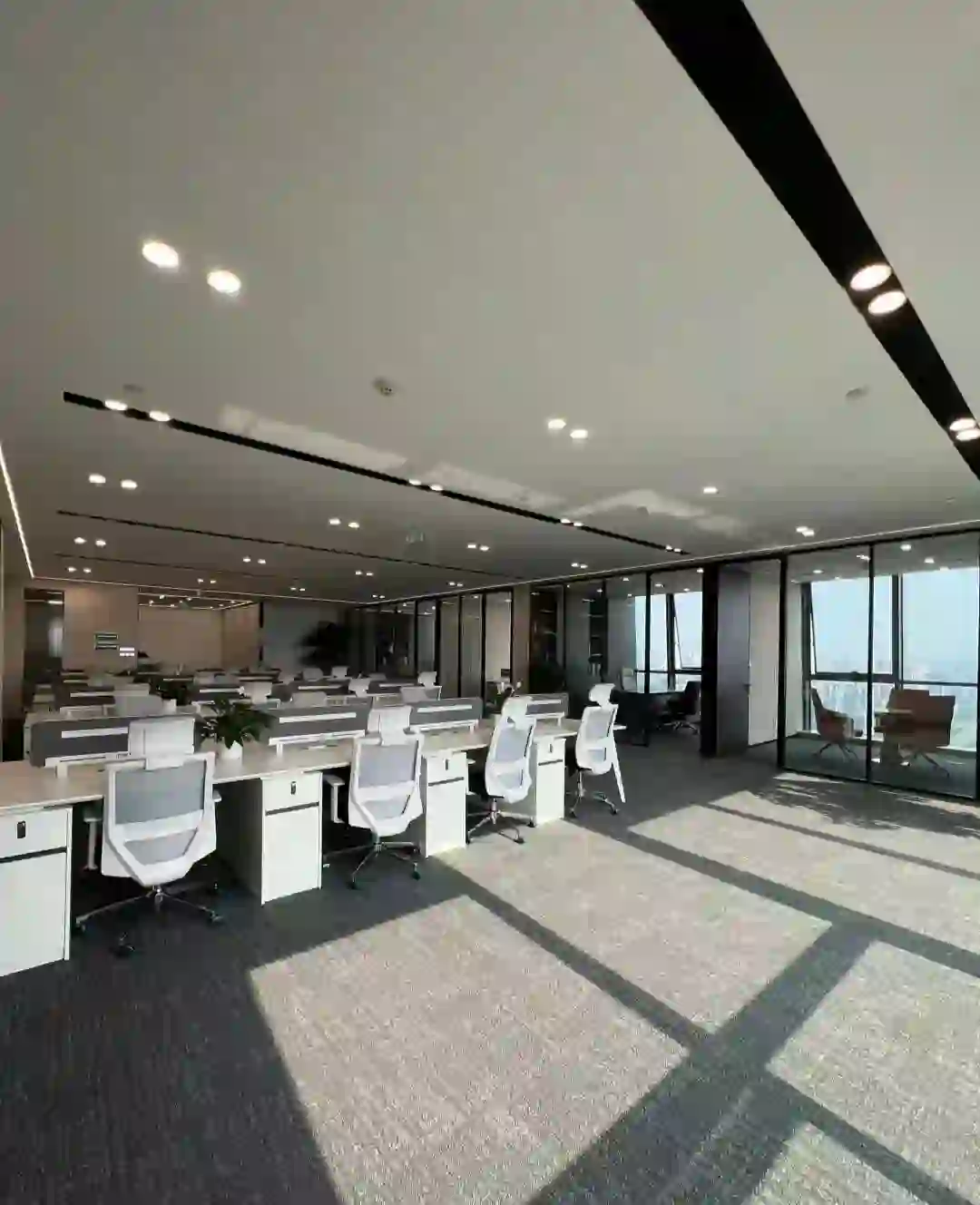 新公司大量高薪招聘！