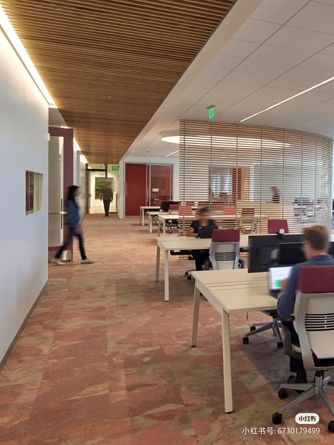 有留子愿意来教育公司吗，要求普通话