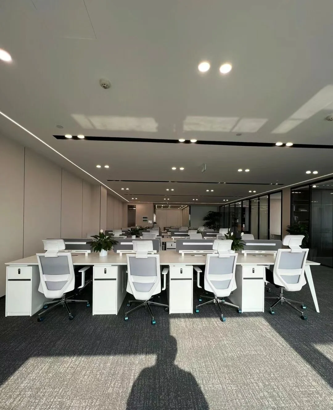 新公司大量高薪招聘！