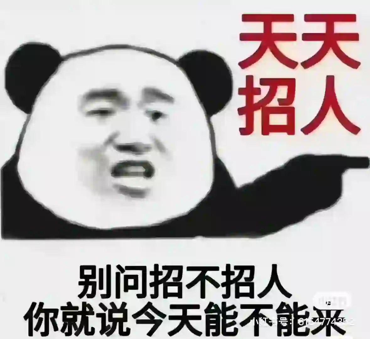 看看我！！！看看我！！！