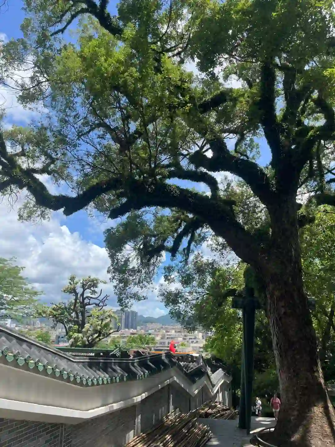 在中山做HR破防了