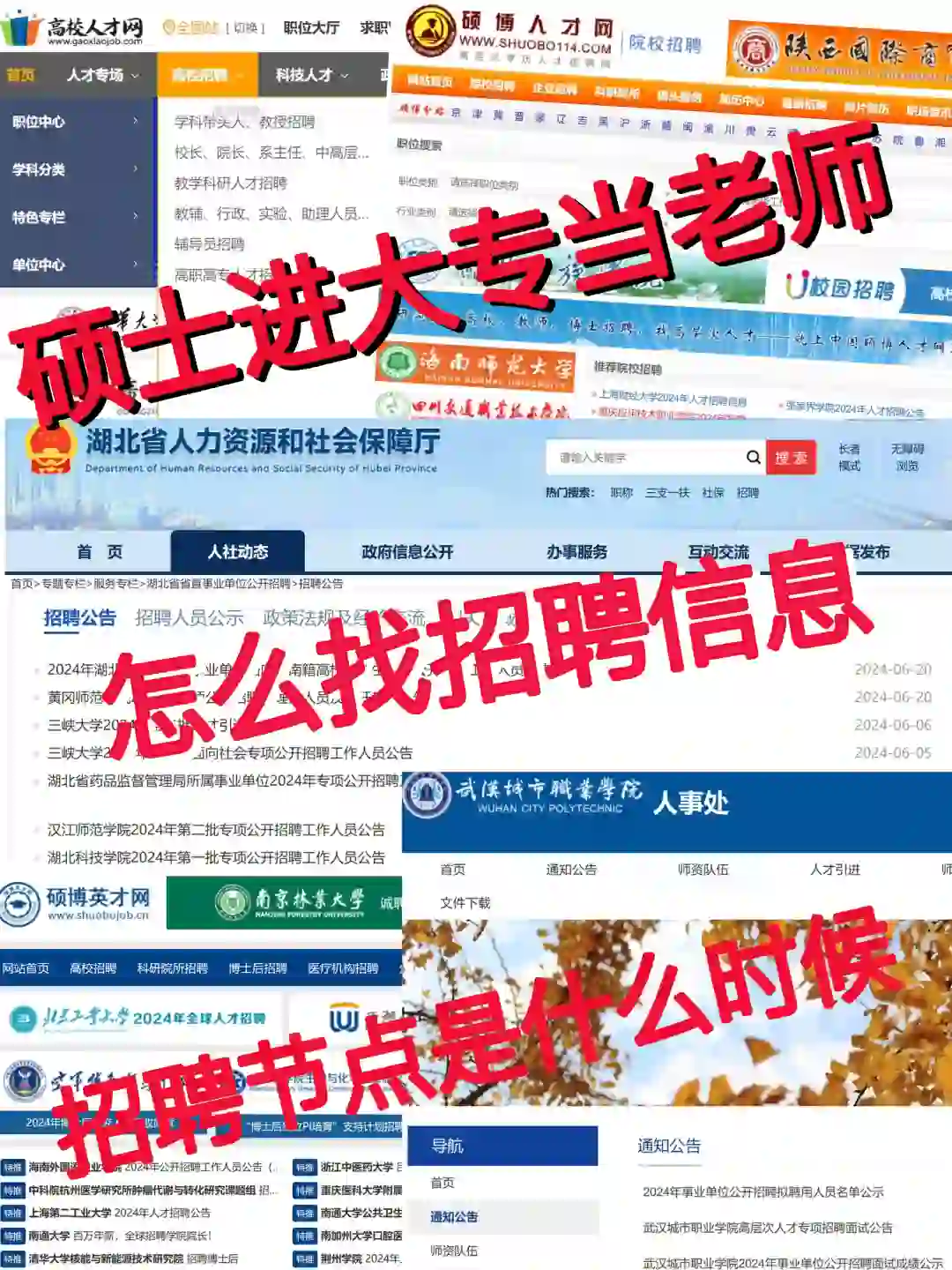 硕士进公办大专当老师‼️如何找招聘信息？