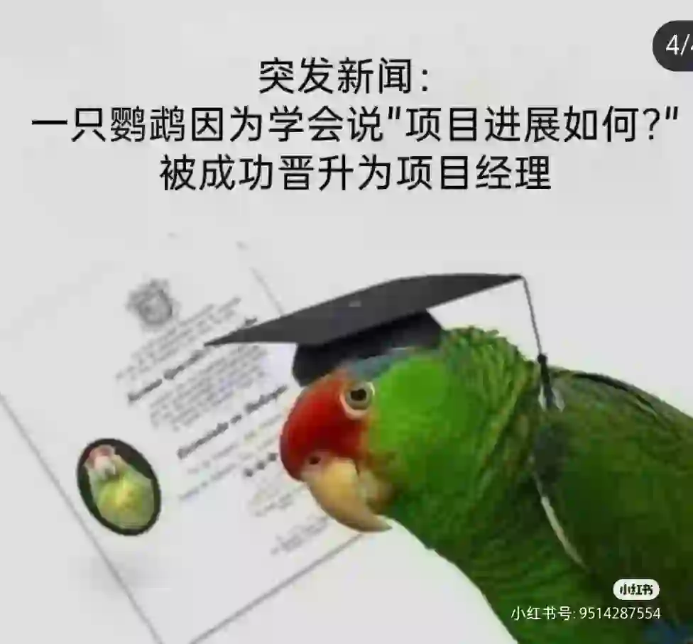 帮老大代发招聘信息