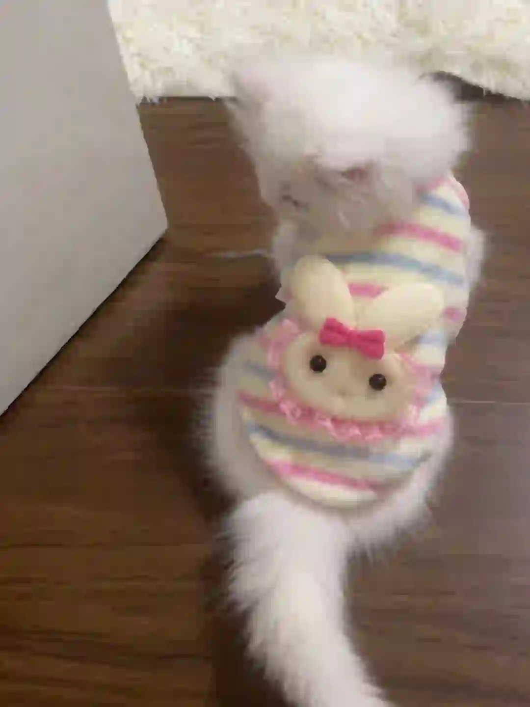 新能源公司招仓管，7500以上