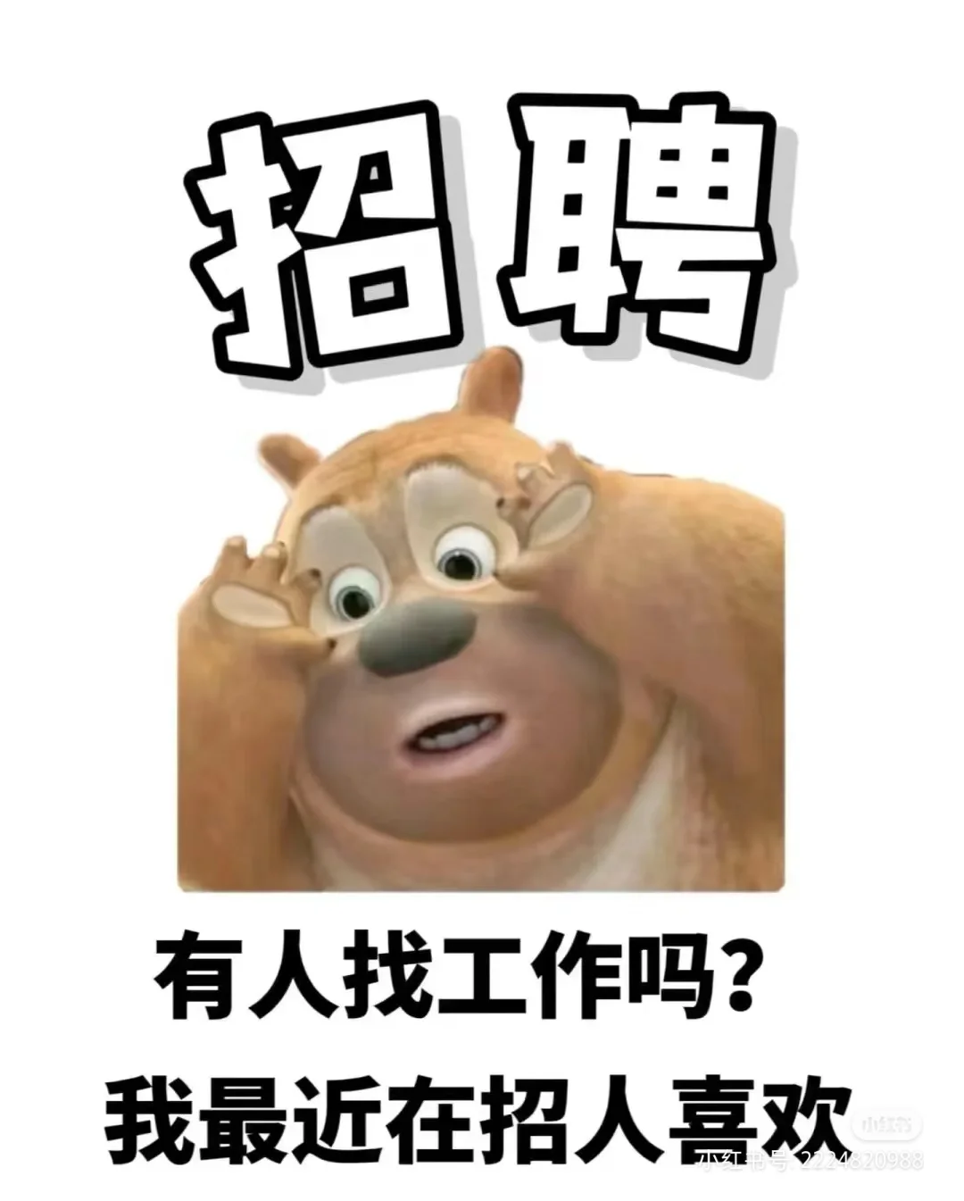求职小伙伴看过来