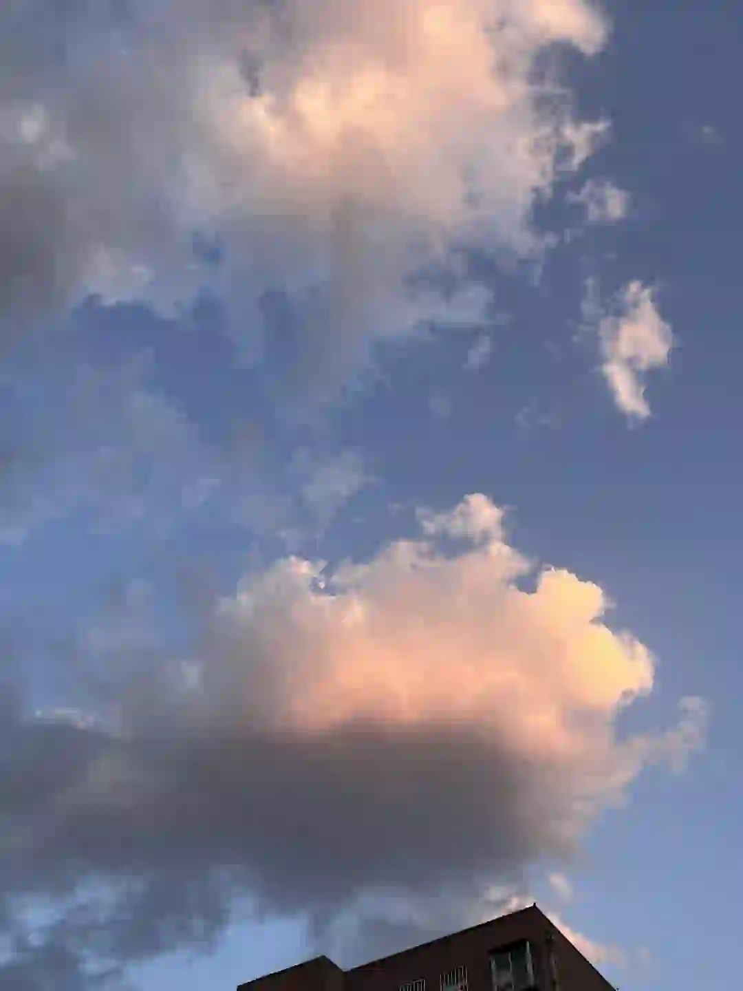 打工人过来看看了外贸公司HR～