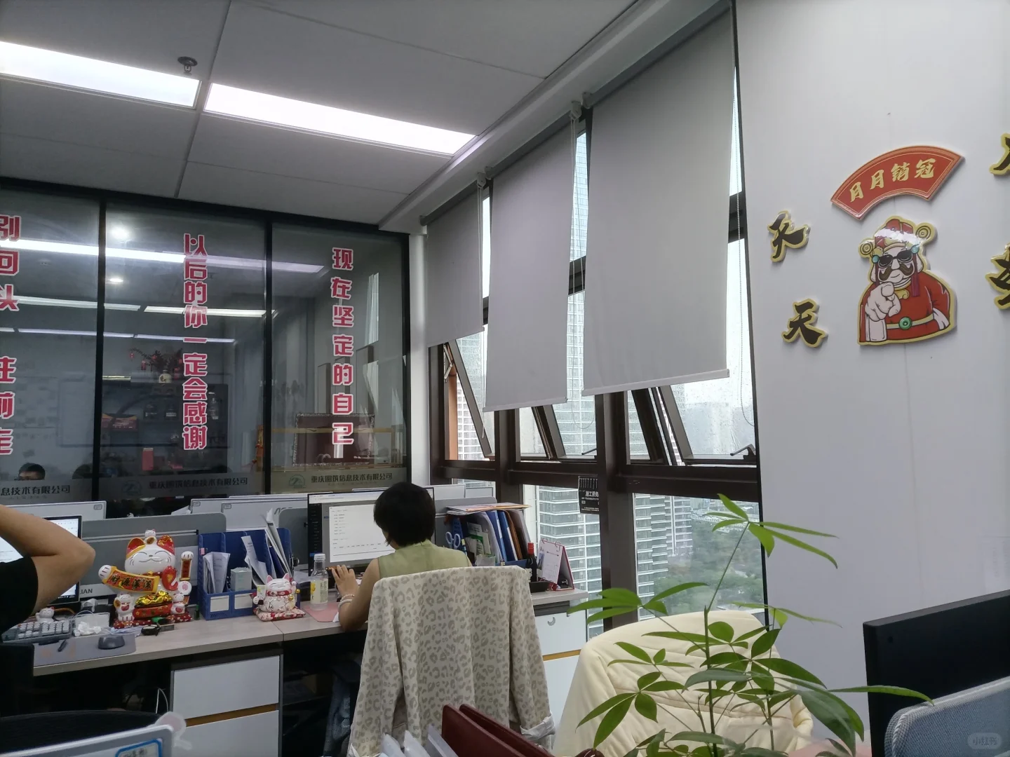 朝九晚六+周末双休 不要犹豫啦啦啦～