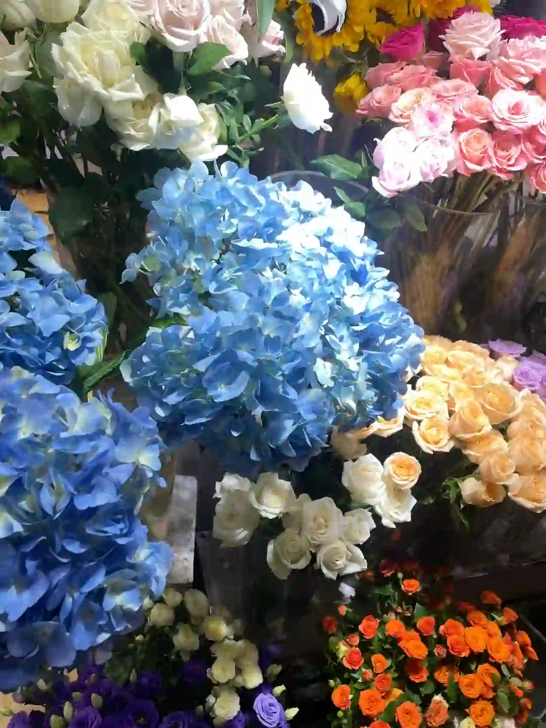 怪兽充电宝直营公司招聘