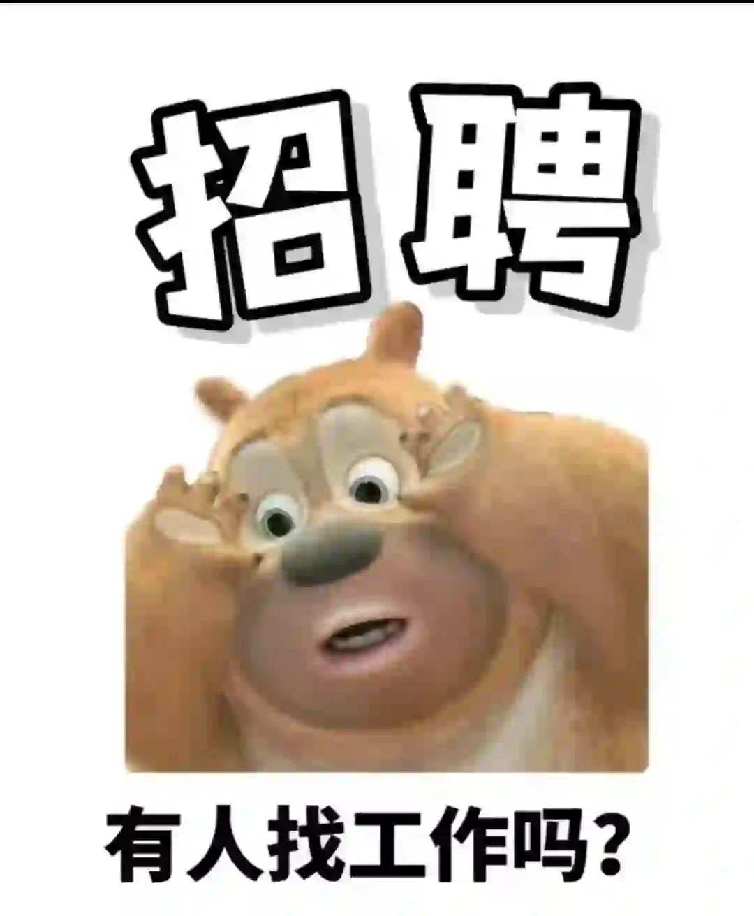 南宁3500不用打卡可以撸猫的神仙公司