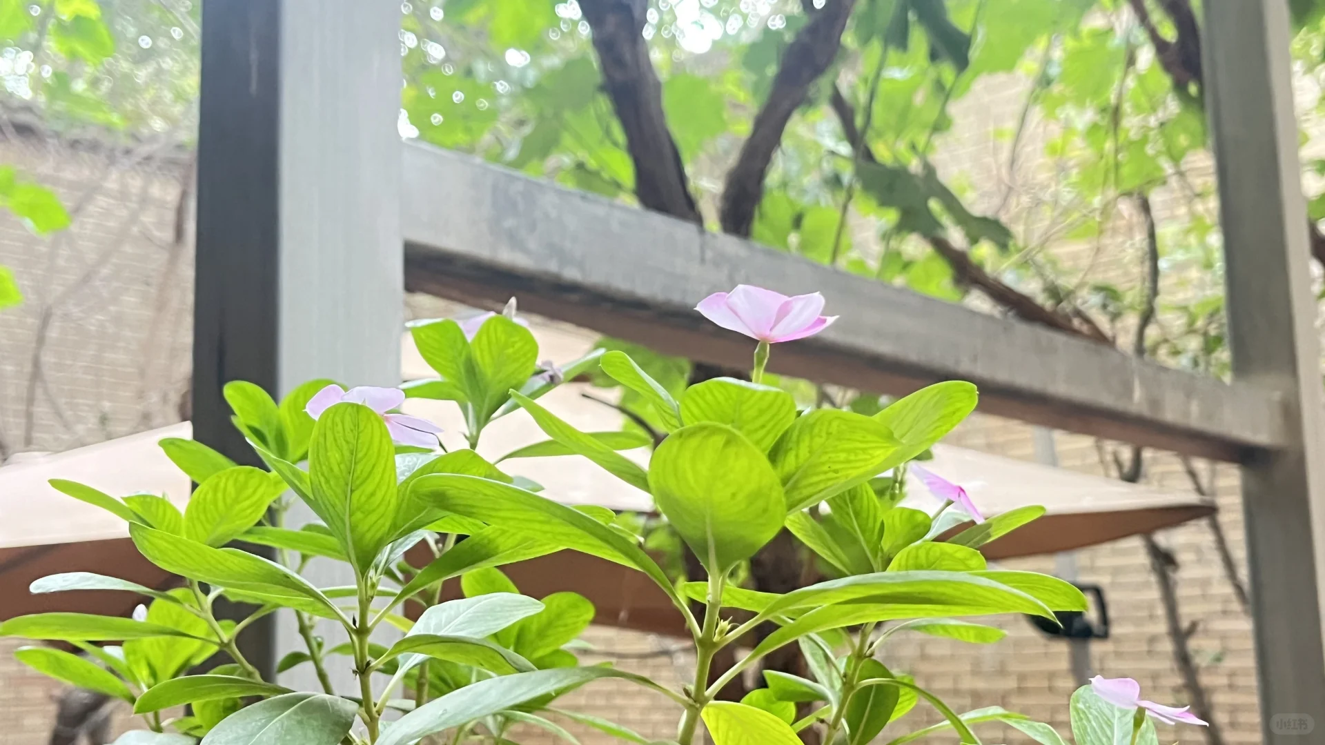 喀什民宿招聘前台