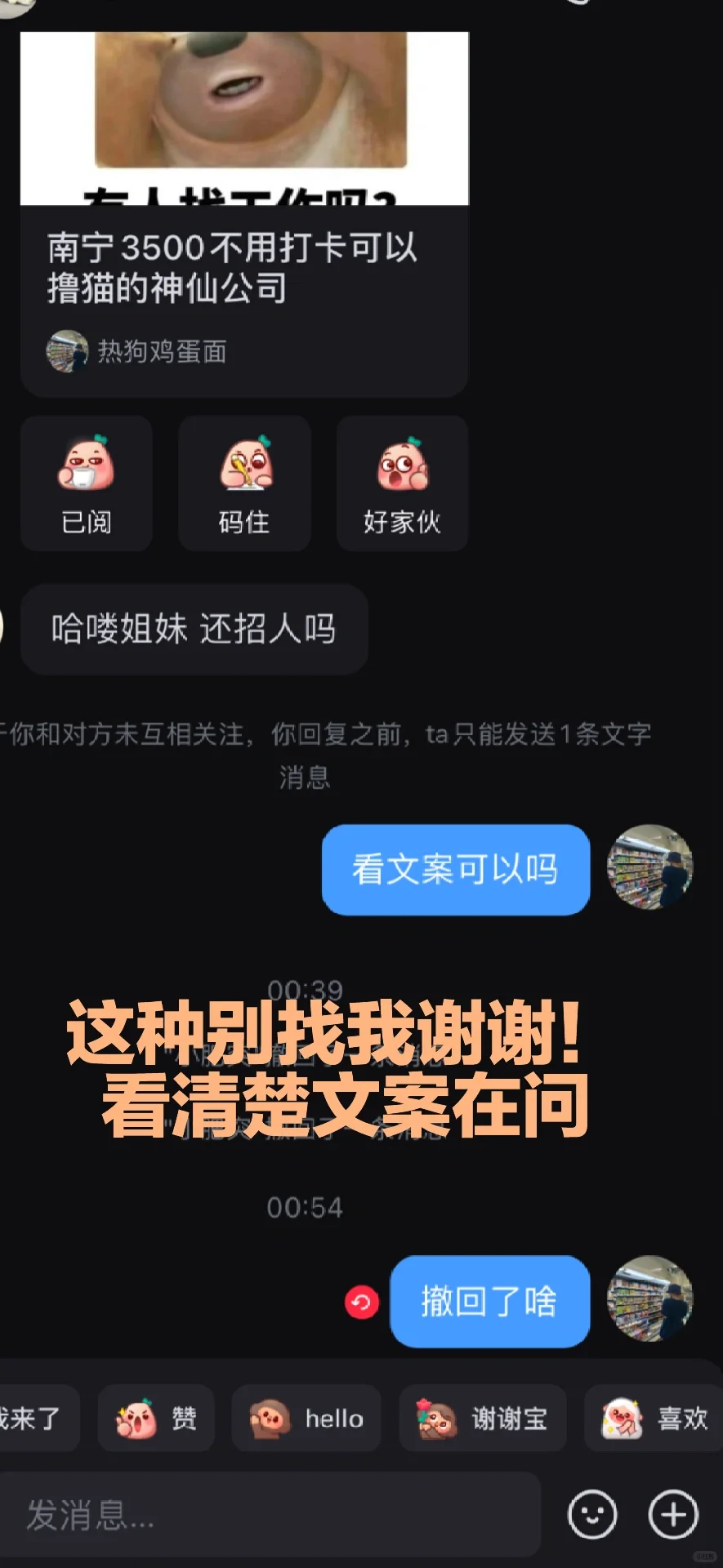 南宁3500不用打卡可以撸猫的神仙公司