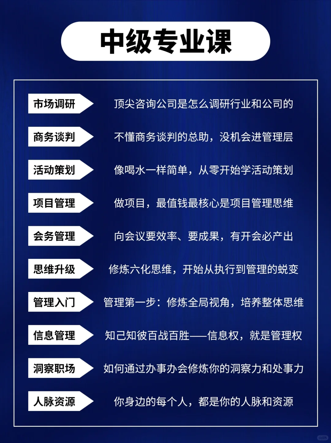 🌟 从小白到金字塔尖，总助的成长之路?