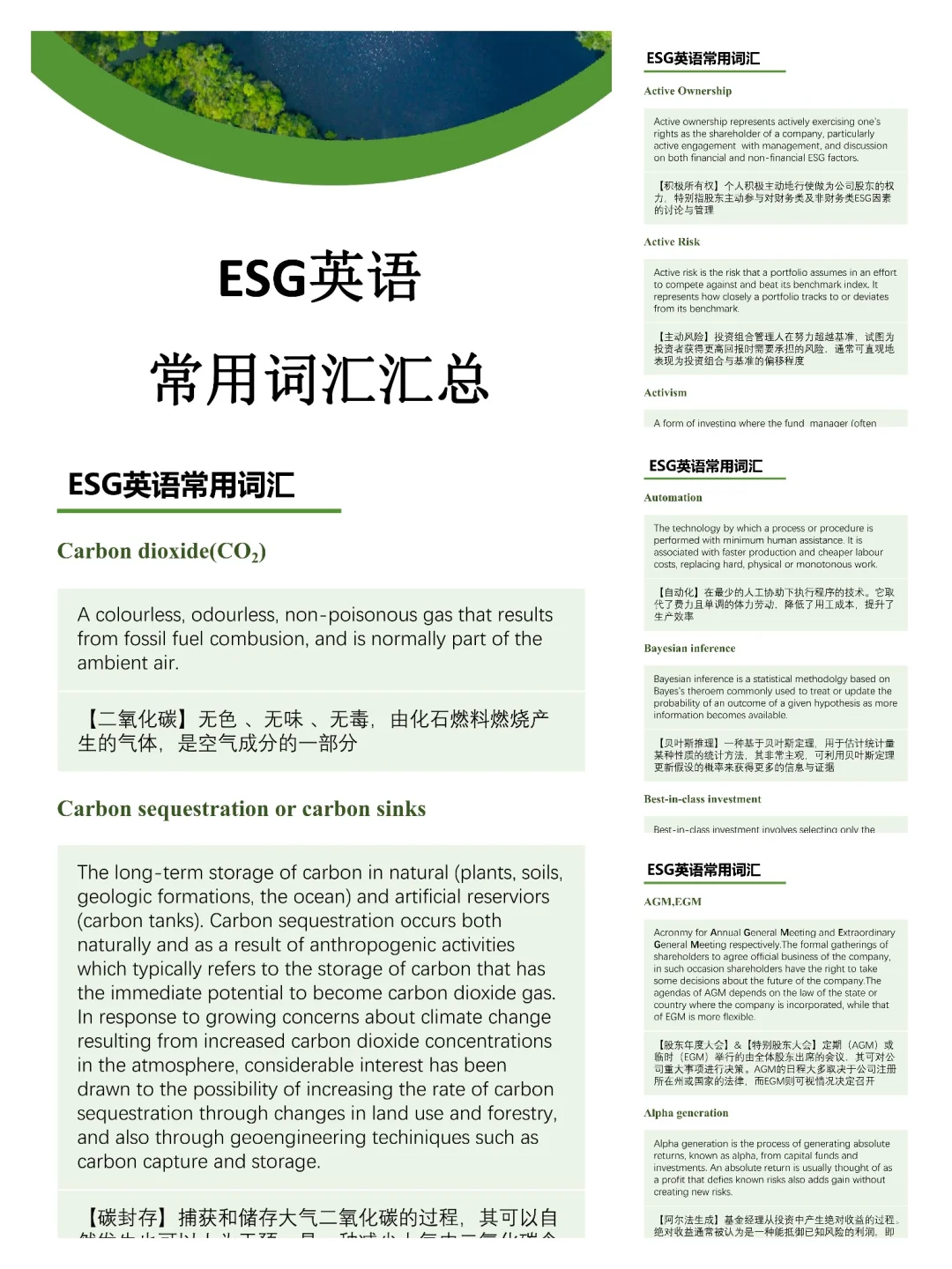 四大咨询公司ESG岗位、💰薪资揭秘
