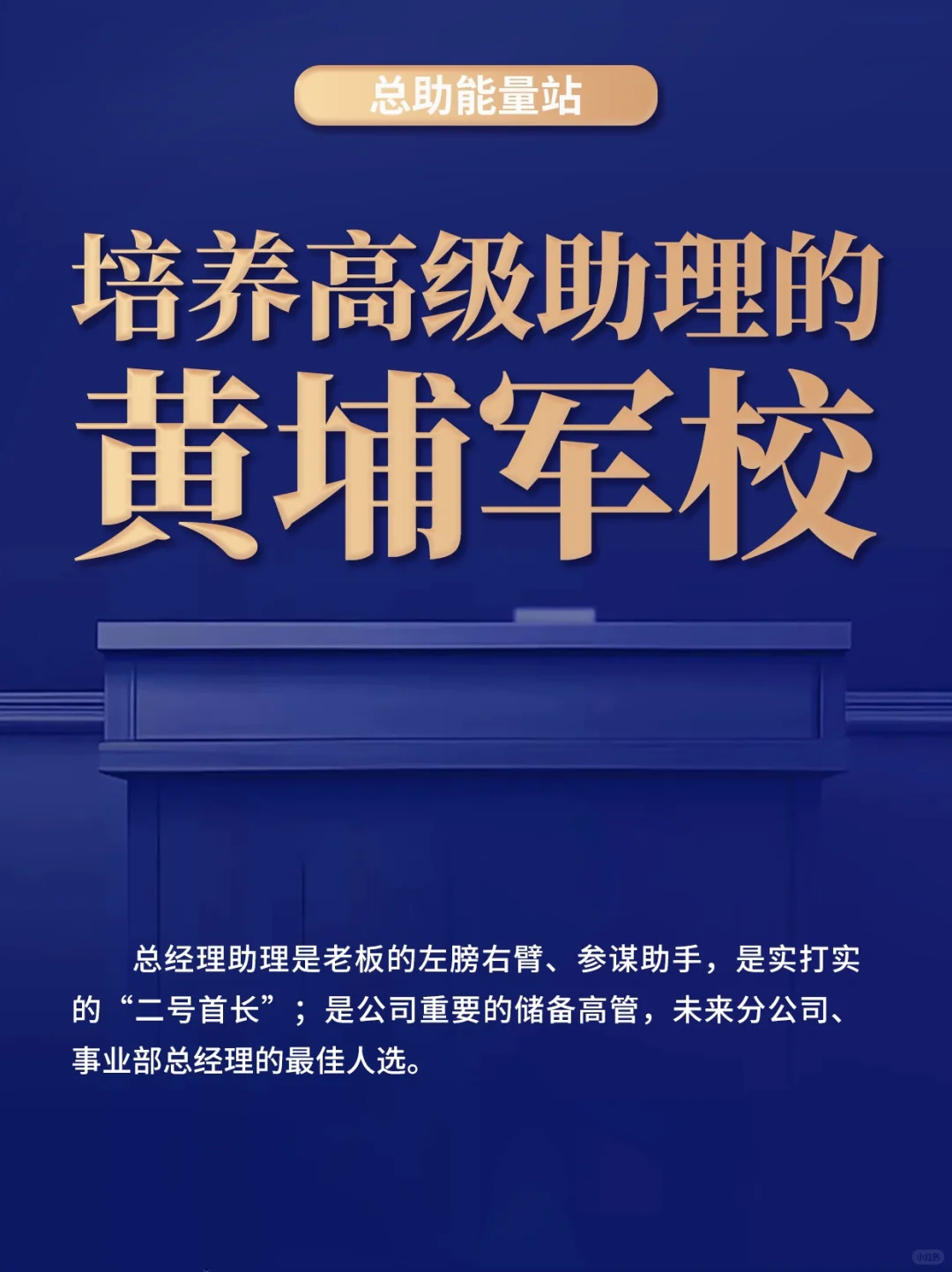 🌟 从小白到金字塔尖，总助的成长之路?