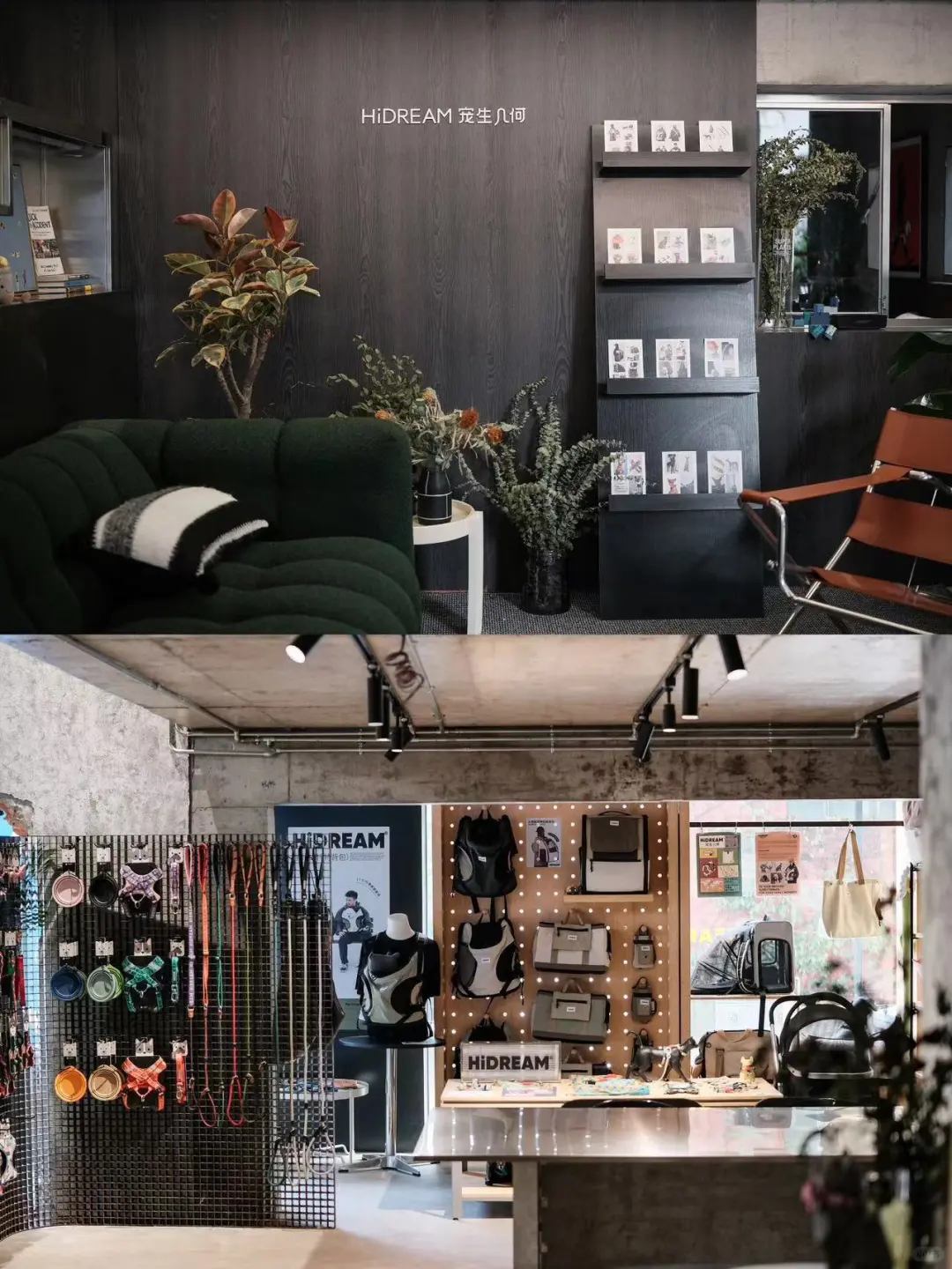 招：一位宠物用品公司主理人助理@福州