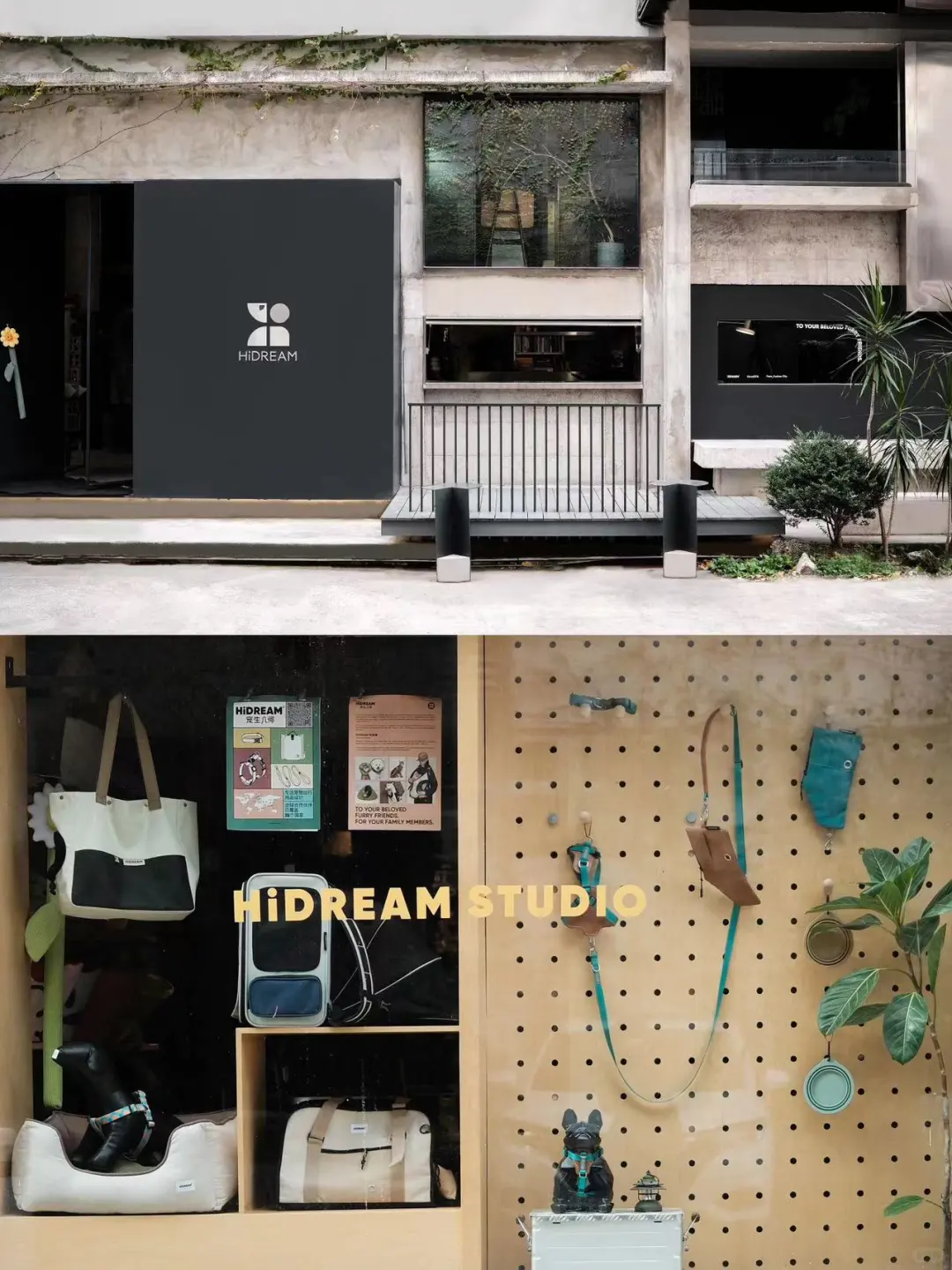 招：一位宠物用品公司主理人助理@福州