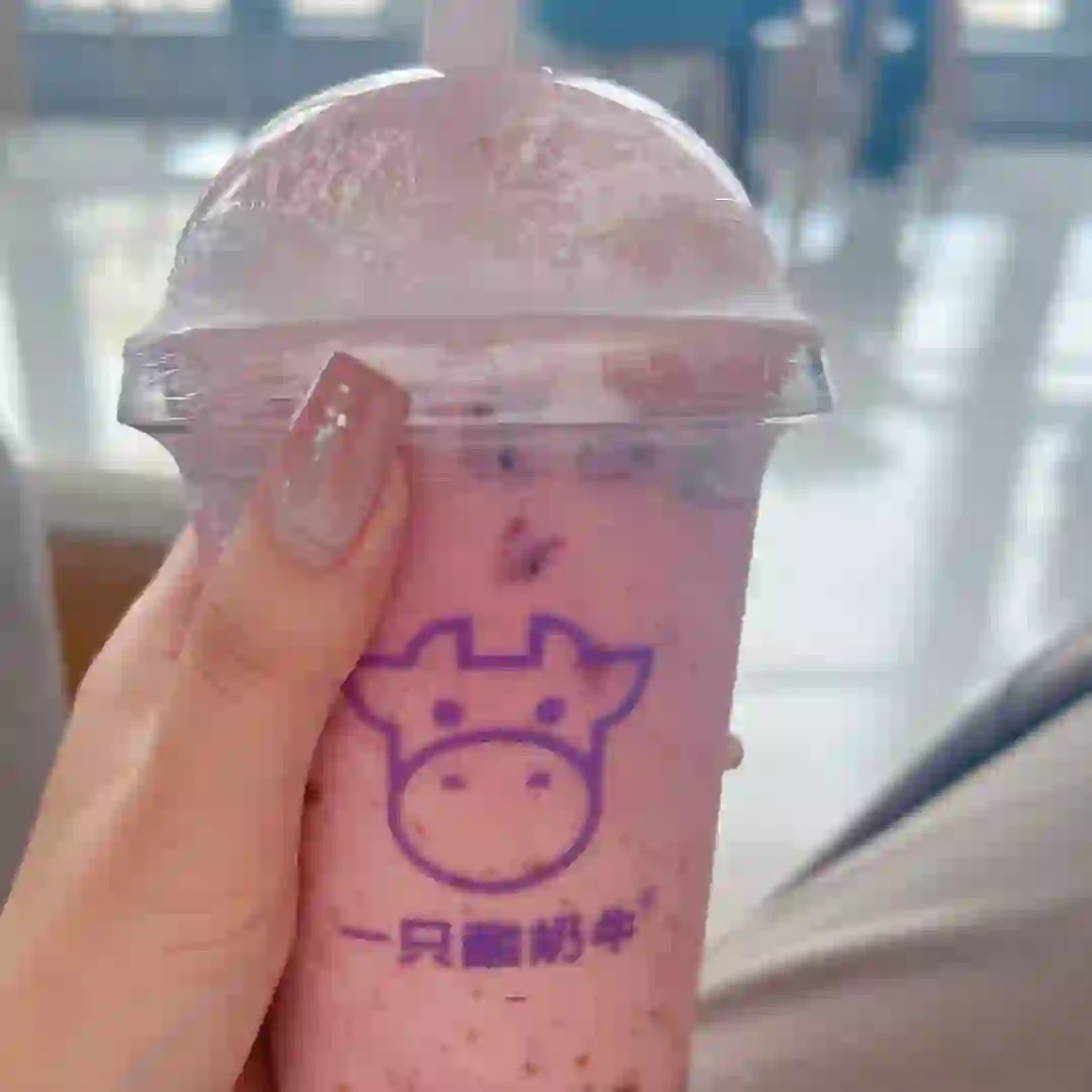 我在公司的职位:奶茶搭子🧋