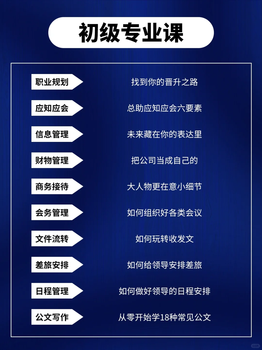 🌟 从小白到金字塔尖，总助的成长之路?