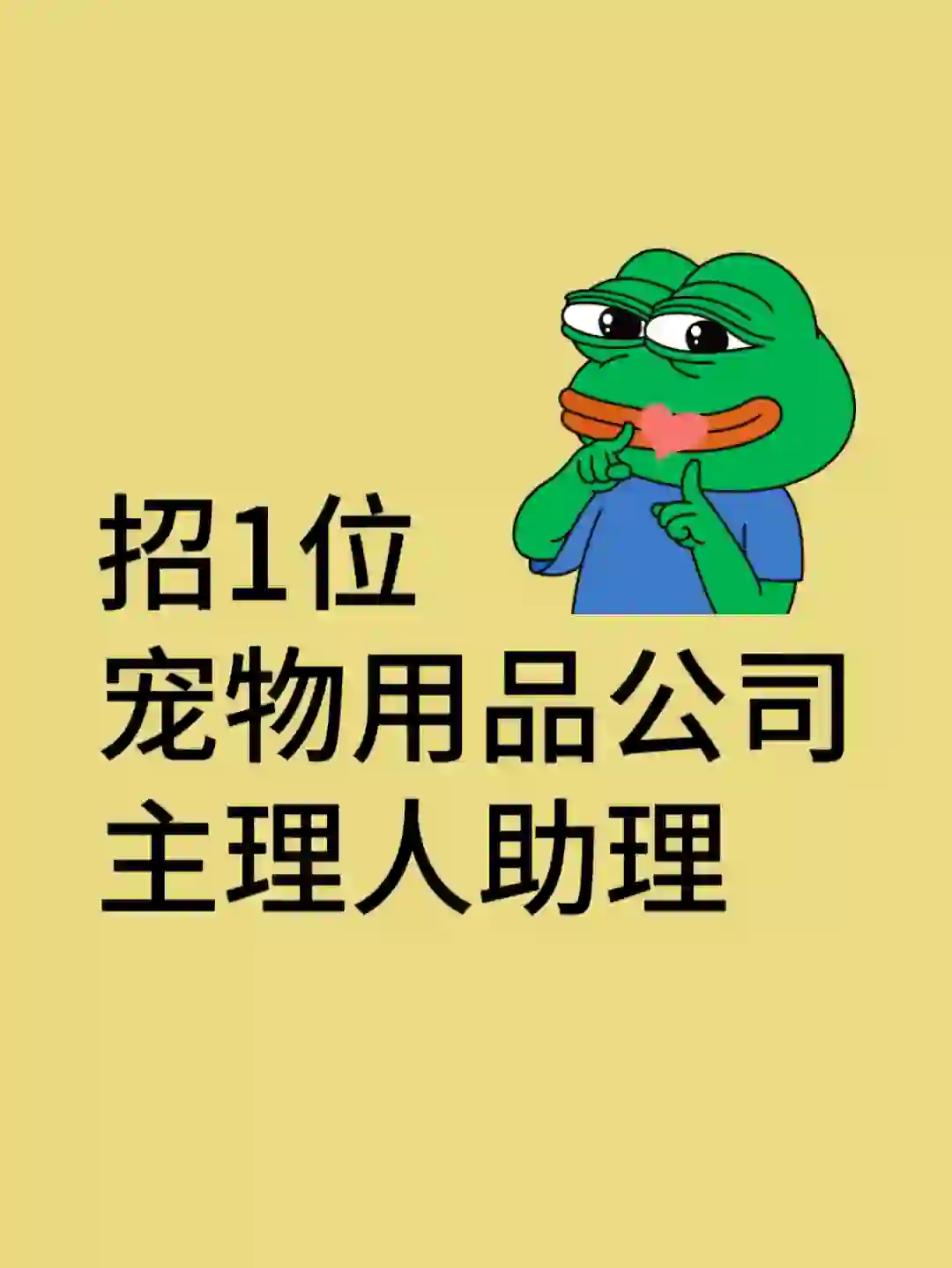 招：一位宠物用品公司主理人助理@福州