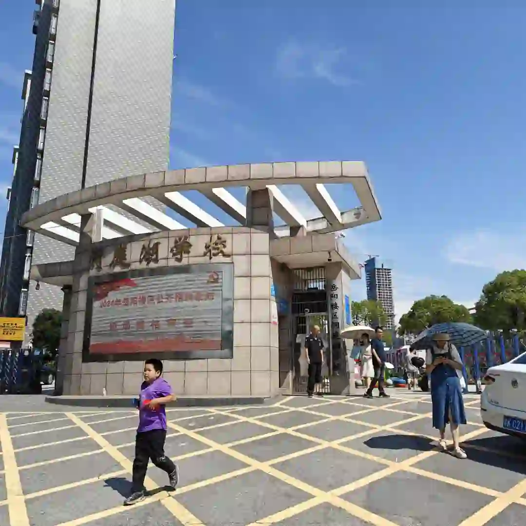 24岳阳楼区教师招聘资格审核