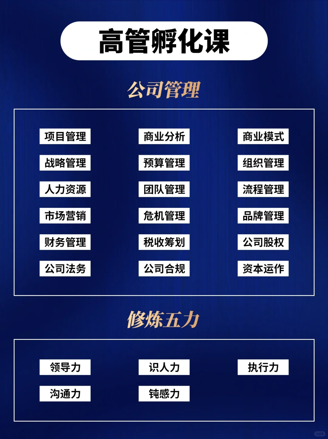 🌟 从小白到金字塔尖，总助的成长之路?