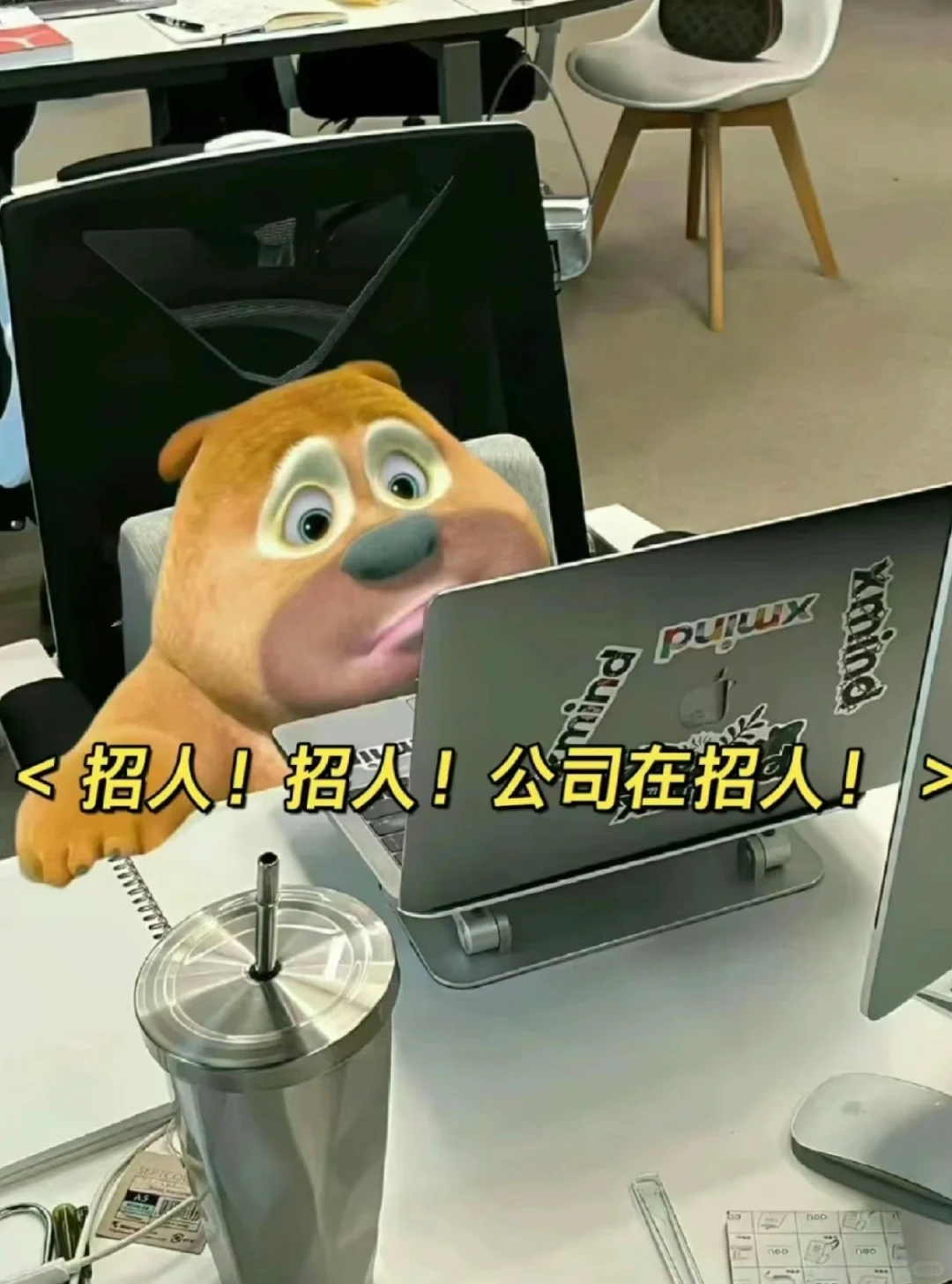 我看看是谁还没有找到工作的 速来！